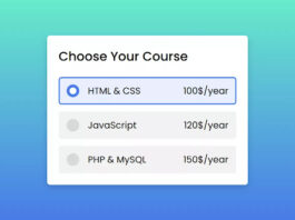 Custom Radio Button using HTML & CSS