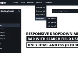 Responsive Dropdown Menu Bar with Search Field using only HTML & CSS