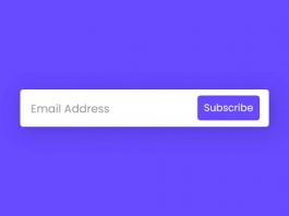Email Subscription Form Animation using only HTML & CSS