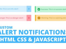 Custom Warning Alert Notification using HTML CSS & JavaScript