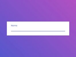 Awesome Input Animation using HTML & CSS