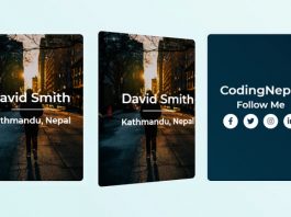 3D Flip Card on Hover using HTML & CSS