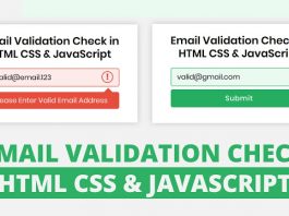 Email Validation Check in HTML CSS & JavaScript