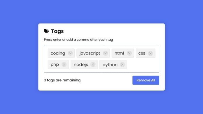 Add Tags Input Box in HTML CSS & JavaScript