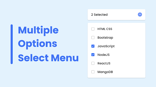 Multiple Options Select Menu in HTML CSS & JavaScript