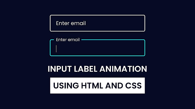 Input Label Animation in HTML & CSS